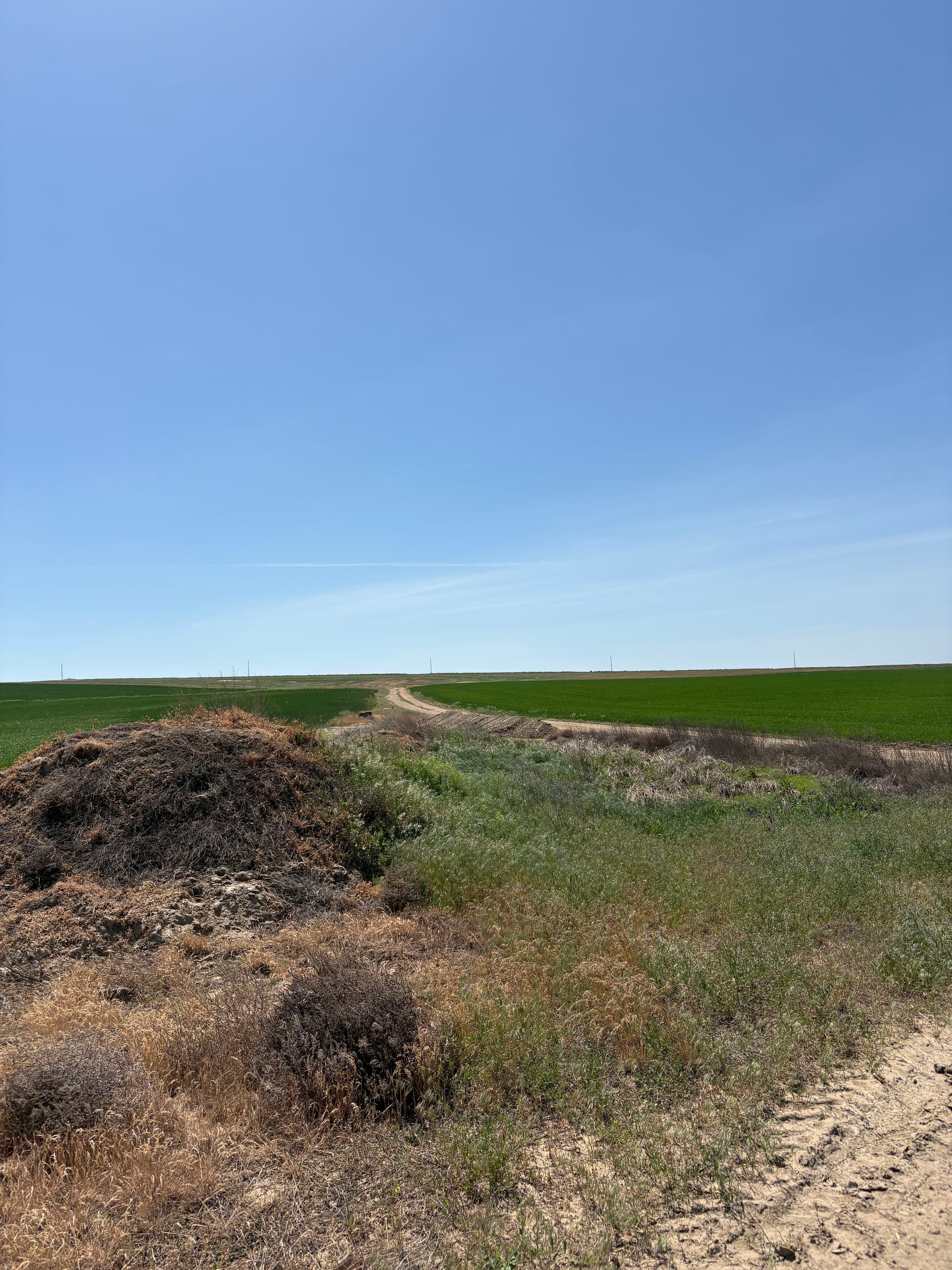 Gallery photos for Retention Pond Built to Stop Irrigation Runoff in Connell: Image #1