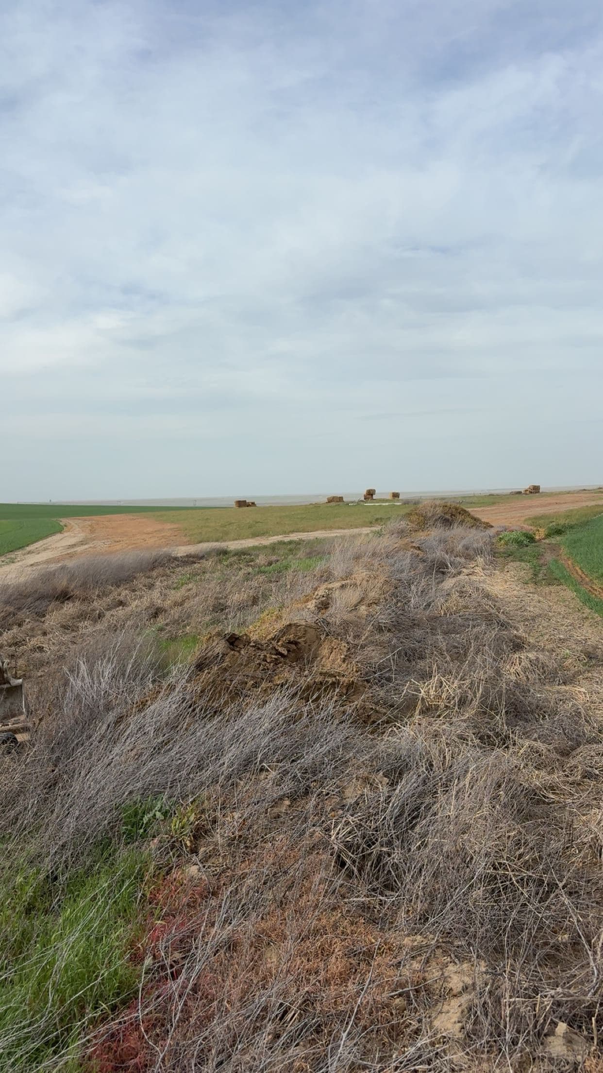 Retention Pond Built to Stop Irrigation Runoff in Connell image