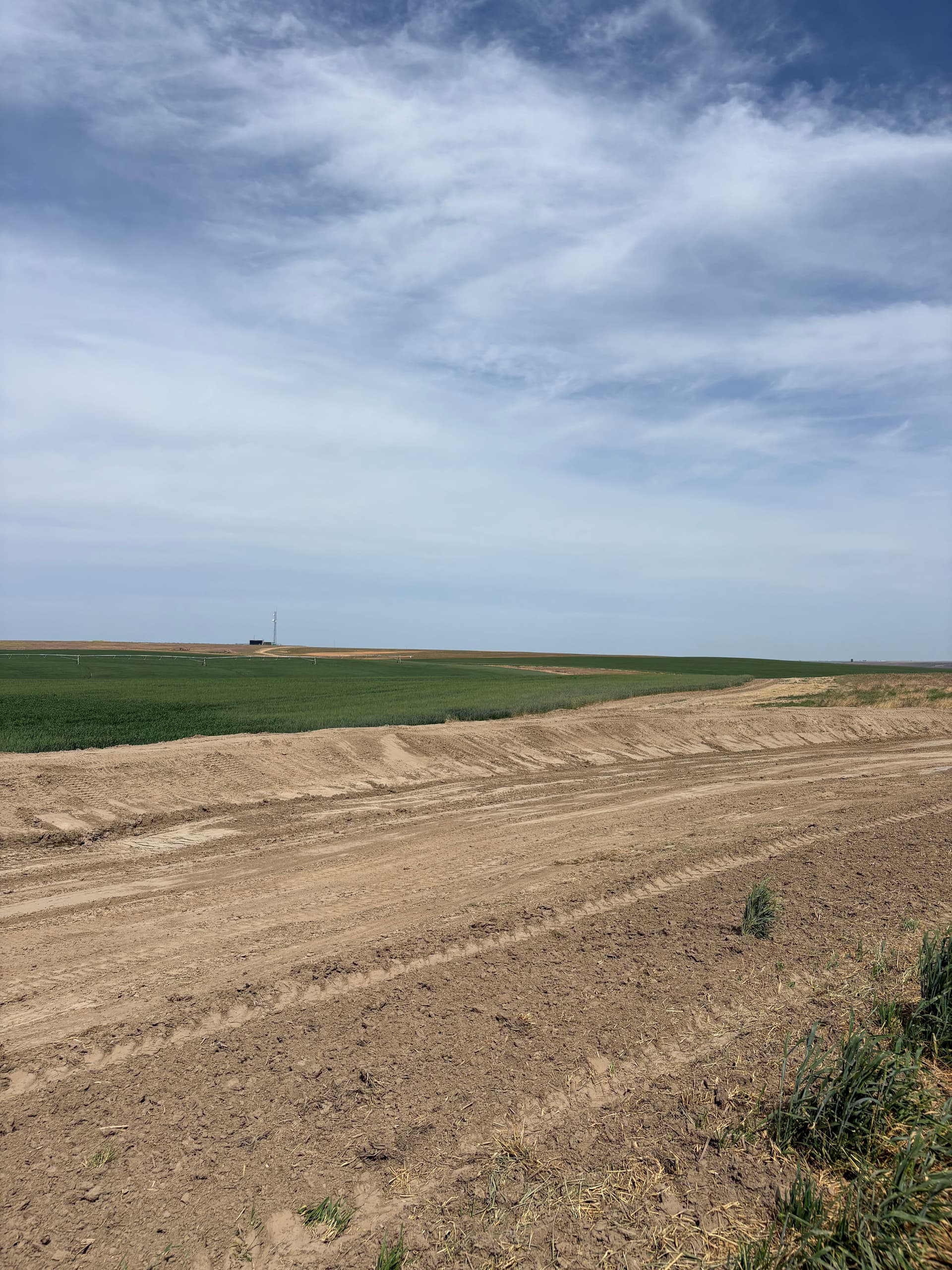 Gallery photos for Retention Pond Built to Stop Irrigation Runoff in Connell: Image #4